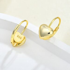 S925-Silver-Gold-Plated-Heart-Shaped-Lever-Back-Earrings.jpg
